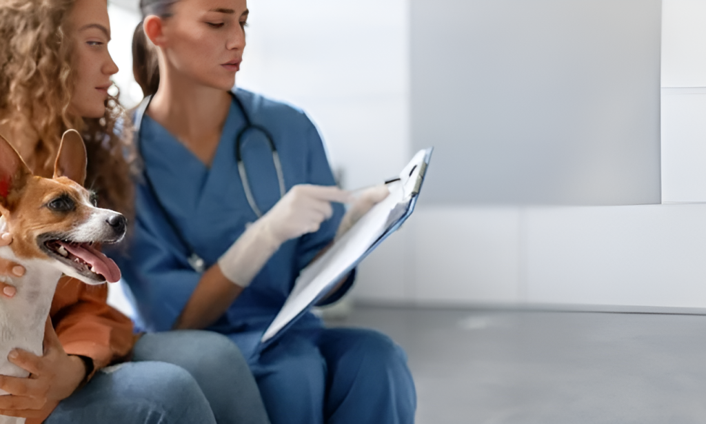 MetLife Pet Insurance Offers Coverage For Emergencies