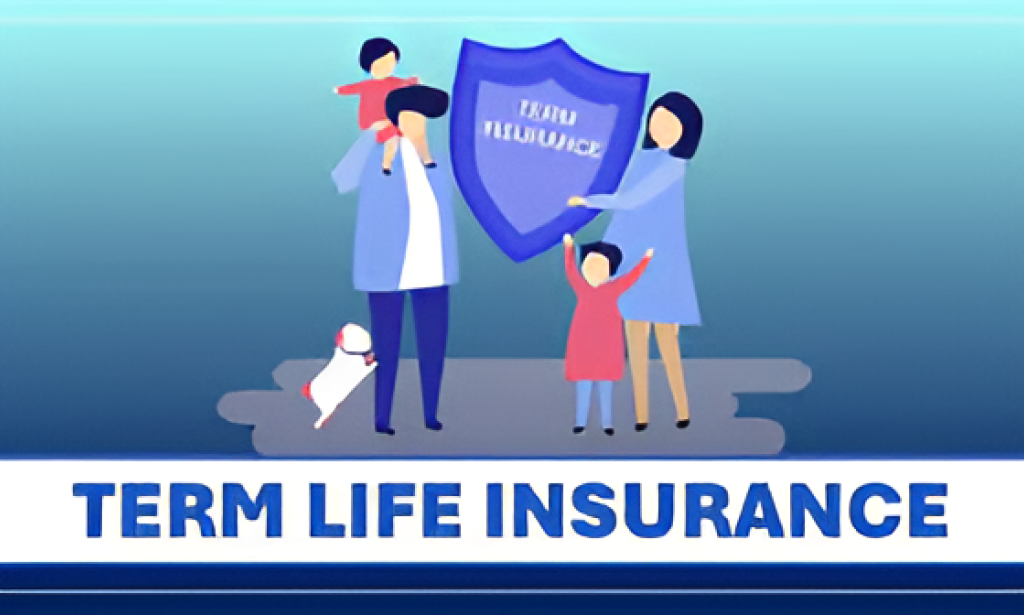 A Complete Guide To Term Life Insurance In The USA