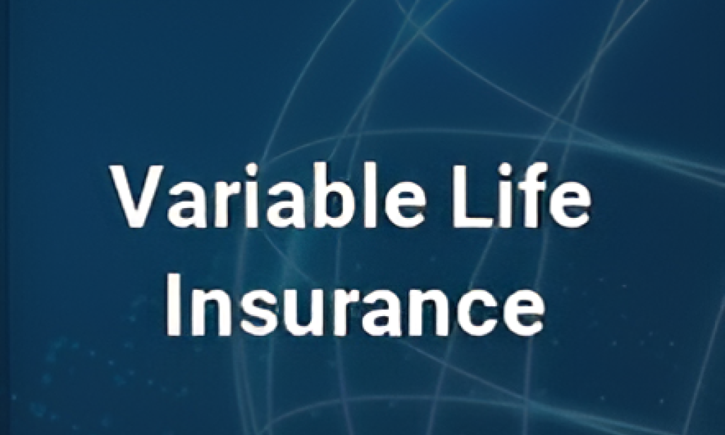 Variable Life Insurance In The USA: Benefits, Risks & How It Works